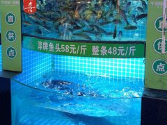 -千岛湖小鱼儿·淳安匠心农家菜