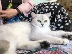 -平行世界·猫咖(首经贸店)