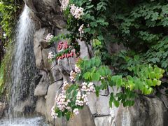 -九龙公园