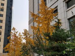 -北京电力医院