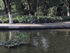 -常州古运河南大街文化旅游区-人民公园