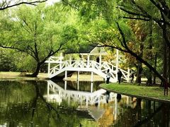 -上海共青森林公园