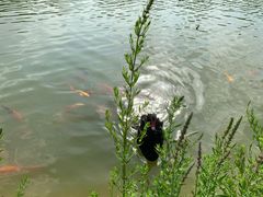 -春晖园度假酒店温泉