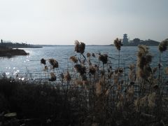 -卤阳湖国家湿地公园