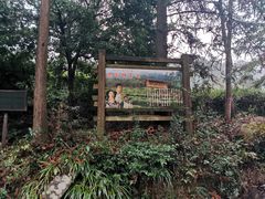 -姑婆山旅游区
