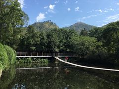 -黄陂区野村谷景区