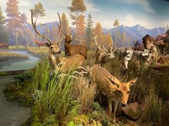 -陕西自然博物馆