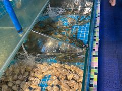 -渔家火锅·海鲜自助餐·演艺(亚龙湾天域酒店)