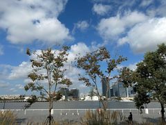 -上海山野camping·户外天幕烧烤·团建拓展营地