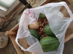 -庞各庄翠芳园西瓜蔬菜基地采摘园