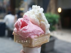 番石榴-柠檬车露(卖草地店)