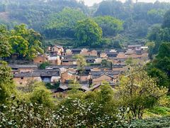 -杨家堂村