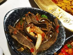 空运鲜毛肚-哥老官重庆美蛙鱼头(龙湖杭州金沙天街店)
