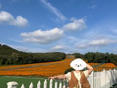 -大连铭湖国际观光牧场