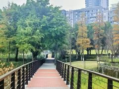 -沐仙湖湿地公园