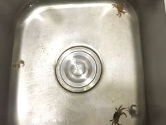 -北海金海湾红树林生态旅游区