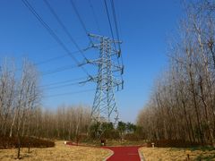 -合肥滨湖国家森林公园