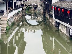 -上海鲜花港