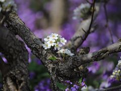 -江苏三台山国家森林公园