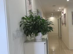 -SILKTONE诗丽堂美容