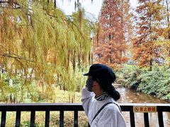 -重庆彩云湖湿地公园