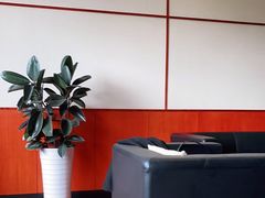 -大连中升雷克萨斯(华北路店)