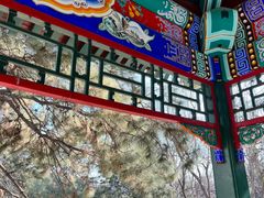 -宣武艺园
