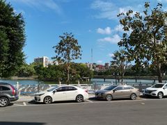 -OLD TREE老树咖啡·西餐厅(台山人工湖店)