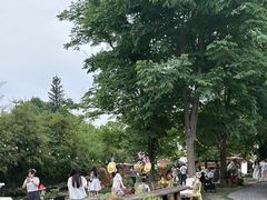 -HERRE·FARM 赫尔露营农场·团建聚会包场