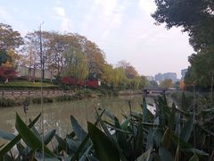 -运河游船(武林门码头)