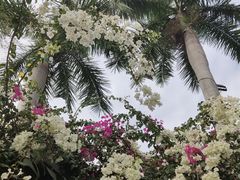 -鹿回头风景区