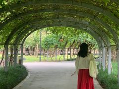 -汉水公园