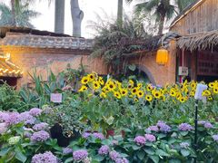 -园林美食城·本土农家菜(杨和镇店)