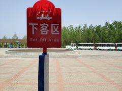 -呼兰河口湿地公园