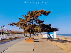 -巧克力渔家.小船海鲜家常菜(万平口店)