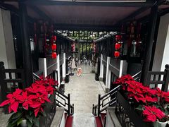 -杭州黄龙洞