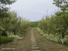 -嘉北郊野公园
