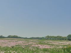 -贡湖湾湿地公园