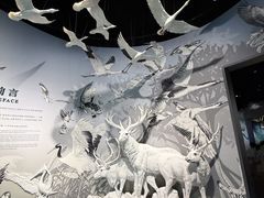 -中国湿地博物馆