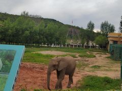 -哈尔滨北方森林动物园