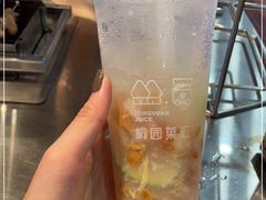 -桐园果汇(湖贝店)