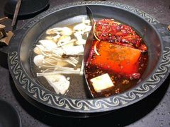 -锅说大脸毛肚重庆老火锅(佐阾店)