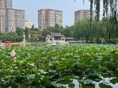 -团结湖公园