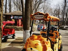 -北京野生动物园