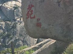 -崂山仰口游览区