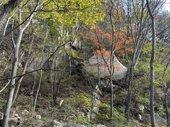 -大岭沟猕猴桃谷风景区