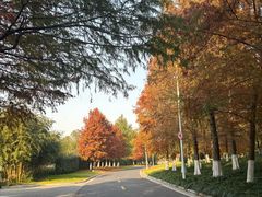 -苏州东太湖生态园