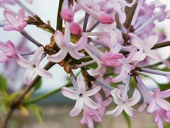 -中国移动(望京营业厅)