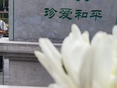 -侵华日军南京大屠杀遇难同胞纪念馆-停车场