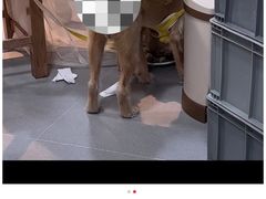 -笨罗卜浏阳菜馆(龙华鹏润达店)